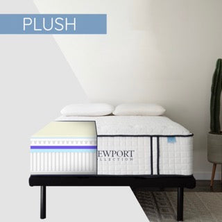 Newport Plush